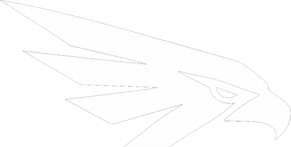 Warbirds crest